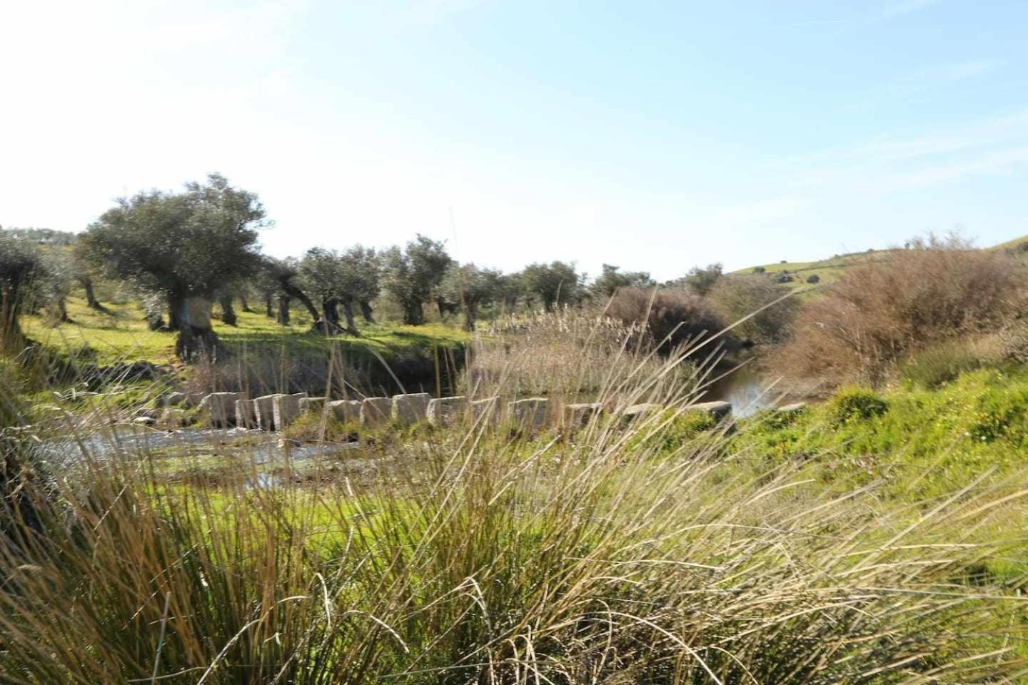 El Olivar Agloipe Ahigal Trcc Exterior photo